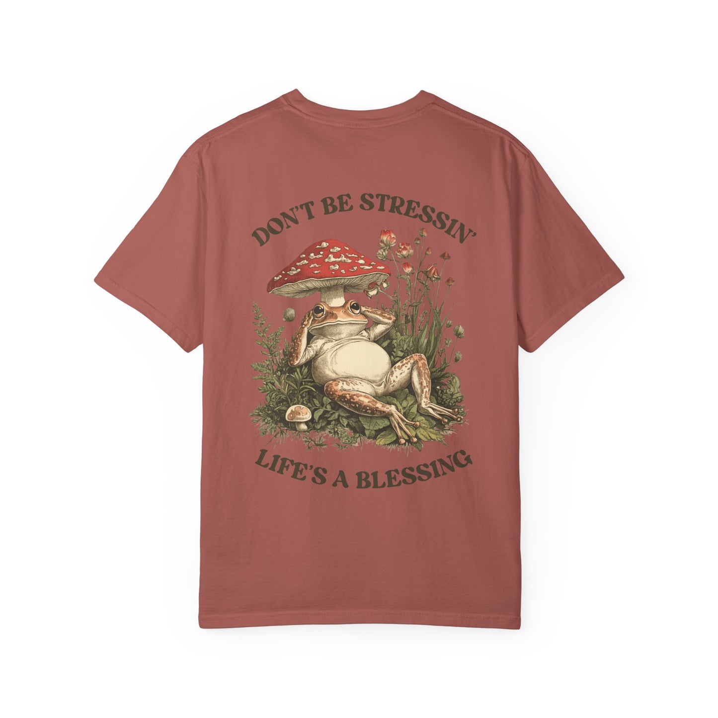 Don't Be Stressin Life's A Blessing Vintage Frog