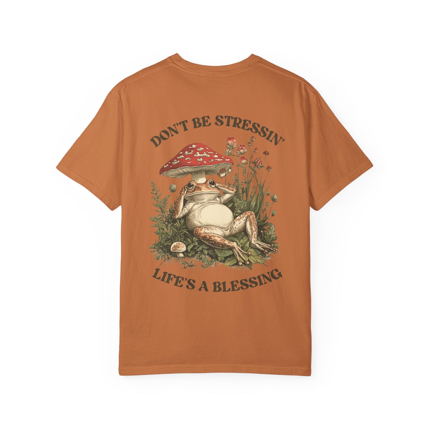 Don't Be Stressin Life's A Blessing Vintage Frog