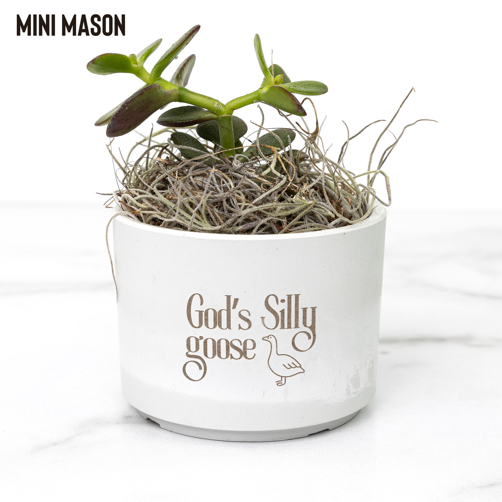 Gods_Silly_Goose_Planter_Pot_Christian_Mason_Mockup_Mockup.png