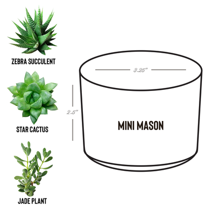 Gods_Silly_Goose_Planter_Pot_Christian_Mason_Spec_Mockup.png