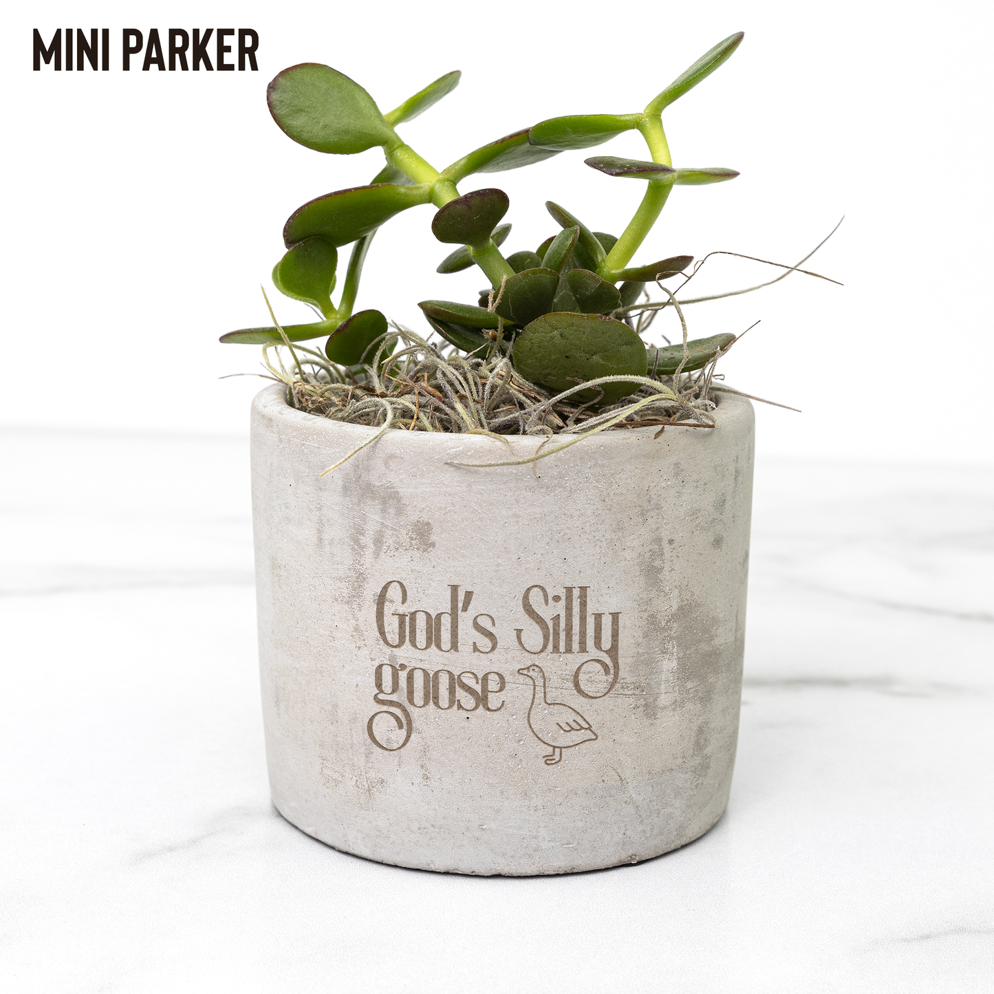 Gods_Silly_Goose_Planter_Pot_Christian_Parker_Mockup_Mockup.png