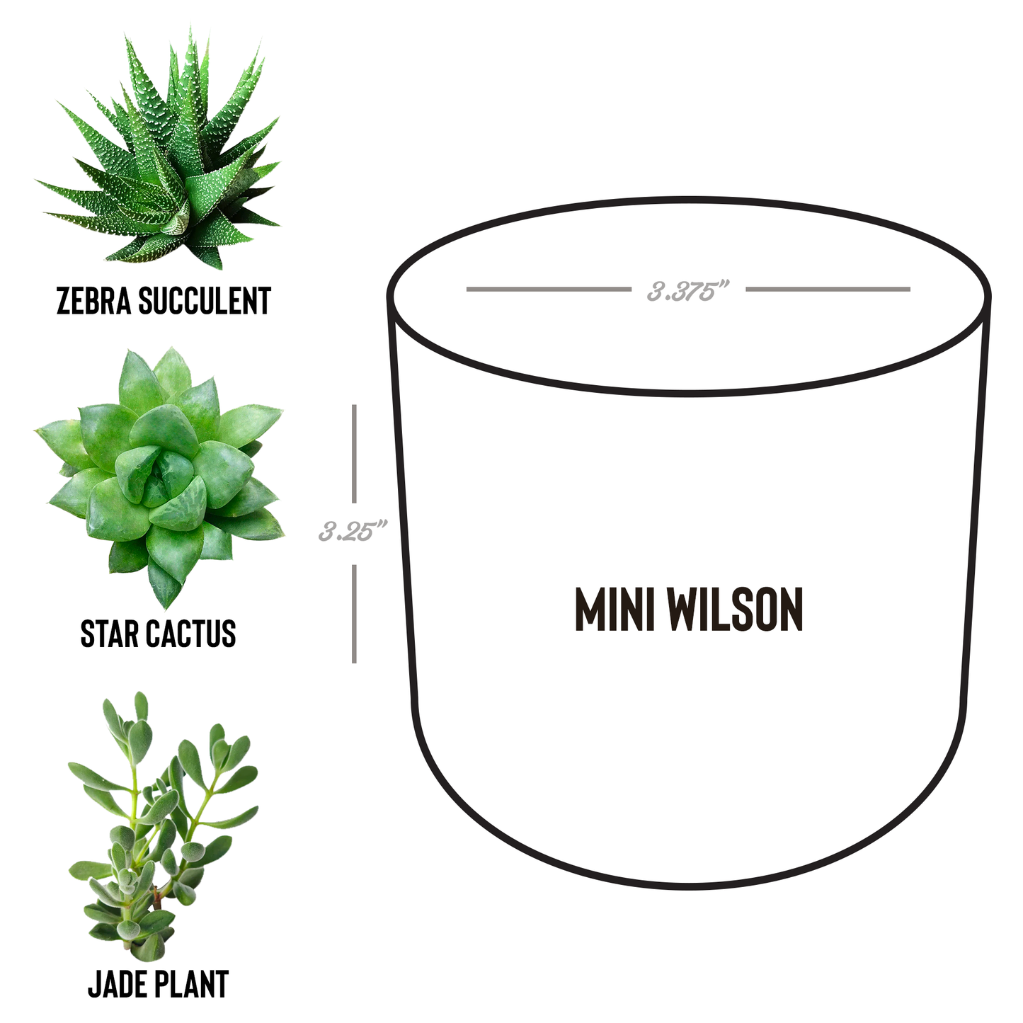 Gods_Silly_Goose_Planter_Pot_Christian_Wilson_Spec_Mockup.png