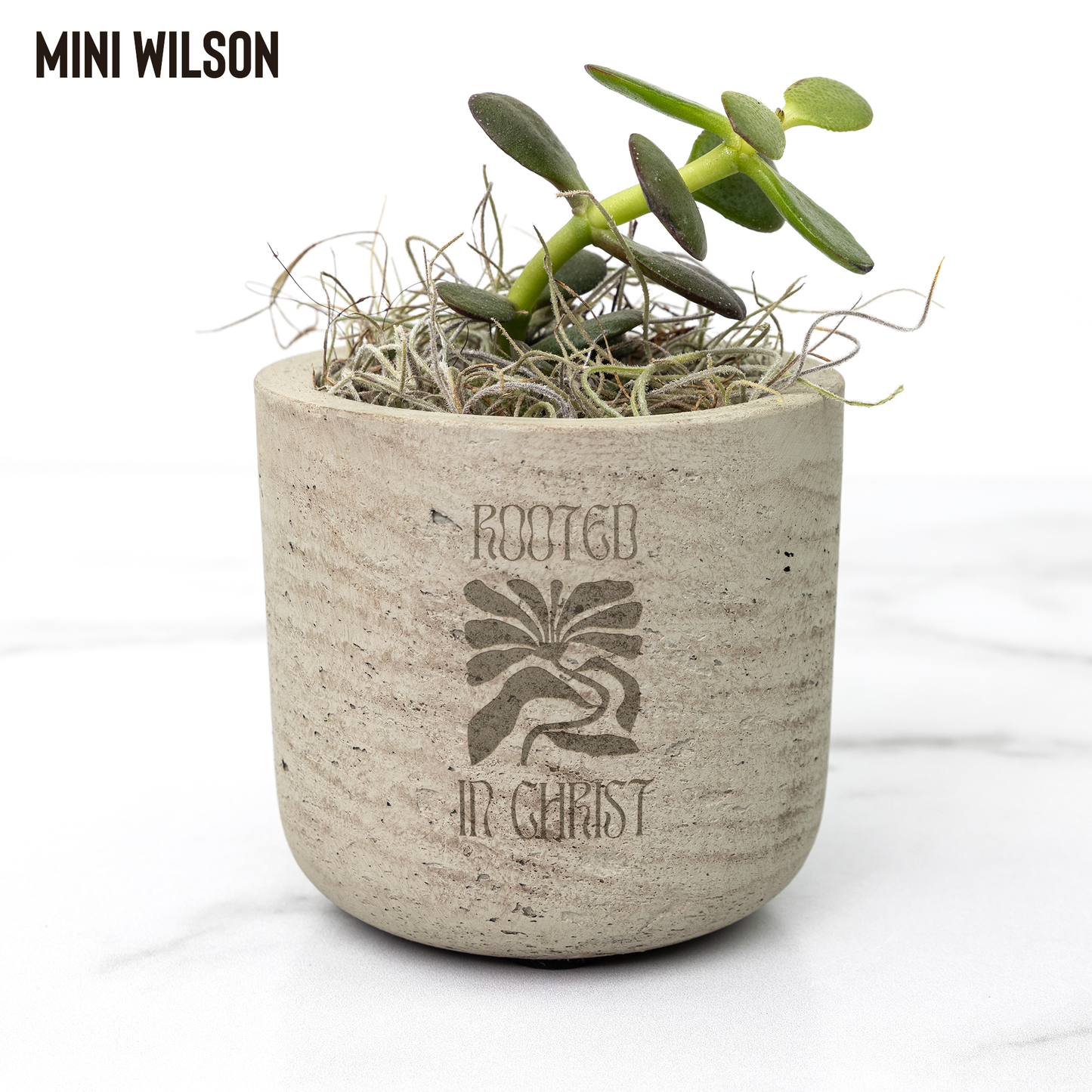Rooted_In_Christ_Plant_Christian_Plant__Wilson_Mockup_Mockup.png