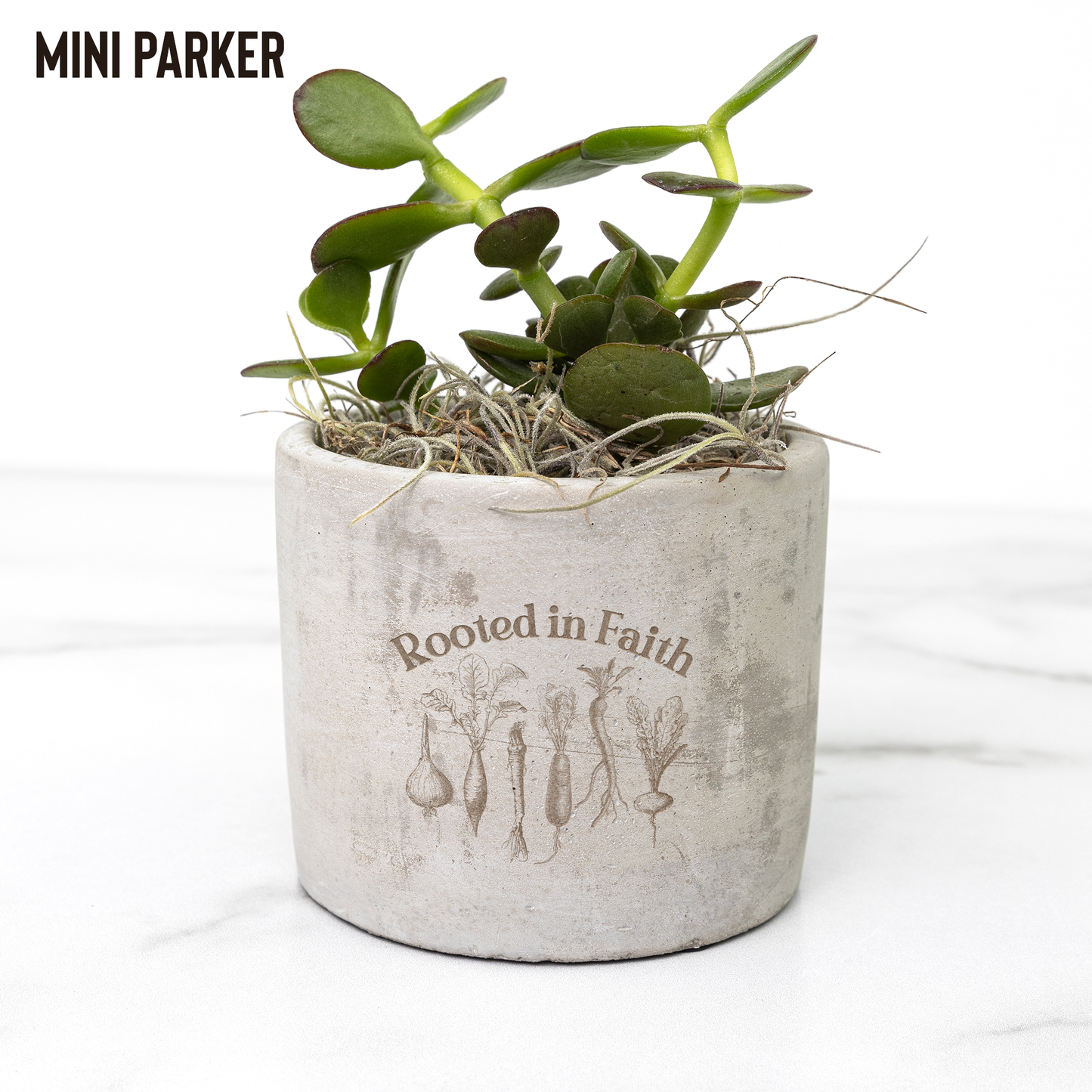 Rooted_In_Faith_Plant_Pot_Christian_Pla_Parker_Mockup_Mockup.png